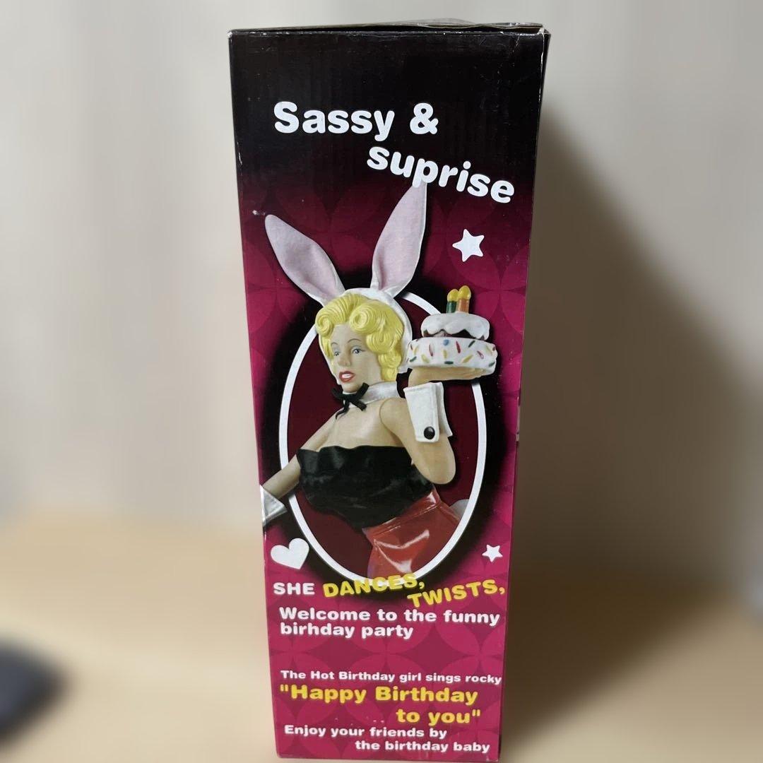 欧米系ユニーク誕生日フィギュア外箱に圧痕あり 本体きれいでコレクション向け179