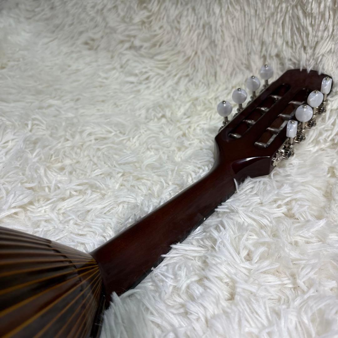 【極美品/希少】SUZUKI マンドリン M-50 a master hand