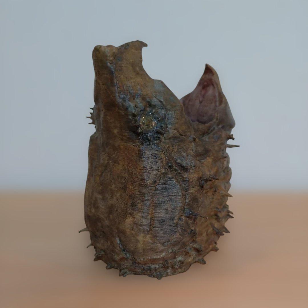 ワニガメ　リアルヘッド　3D フィギュア　置物