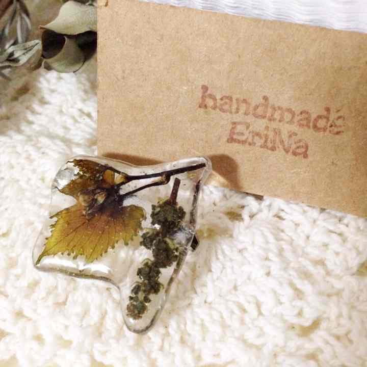 ワイン好きへ品種ピノノワール ブローチ 葡萄 他ピアス カントリー多肉植物