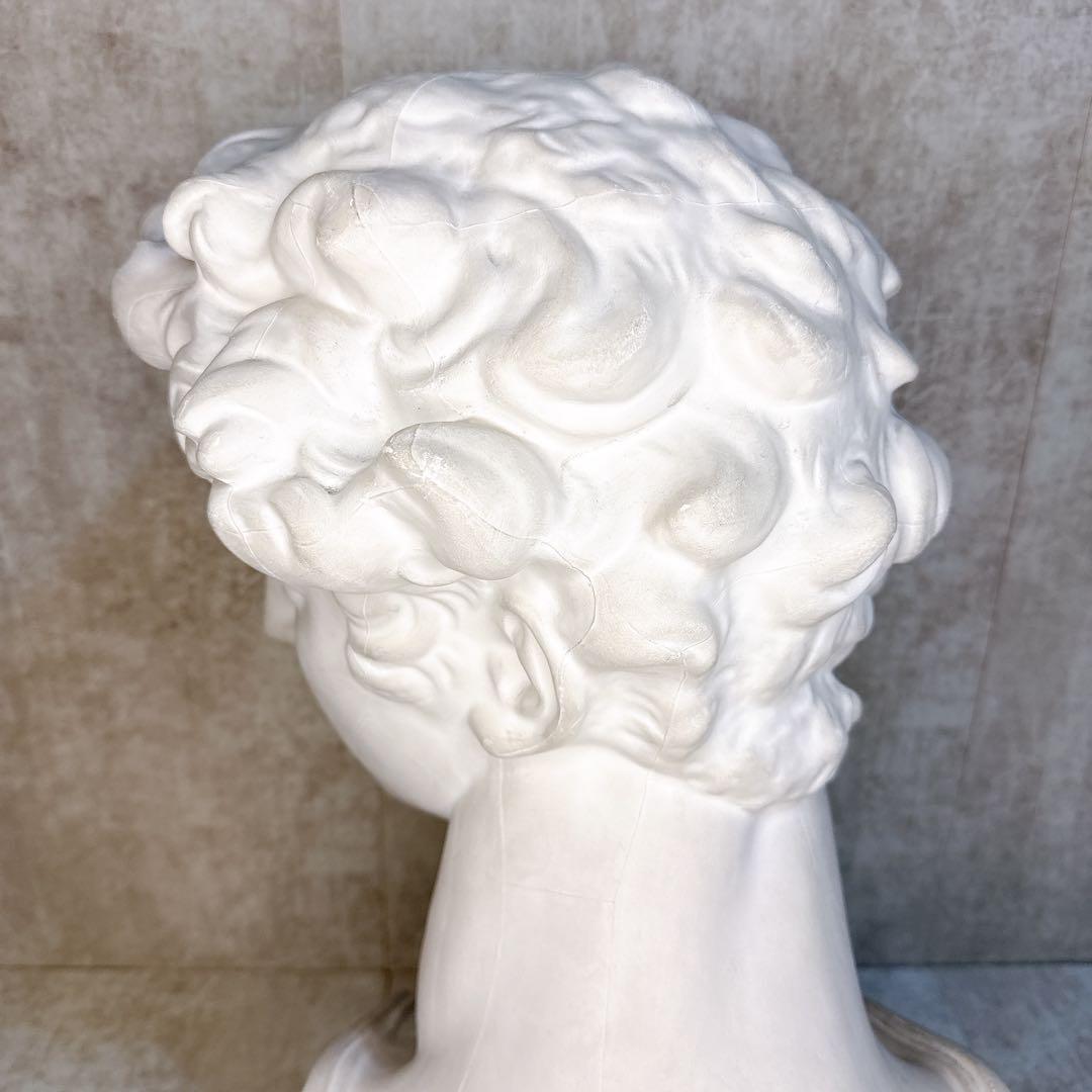 石膏像 メディチ デッサン 胸像 顔 美術 教材 スケッチ インテリア 置物