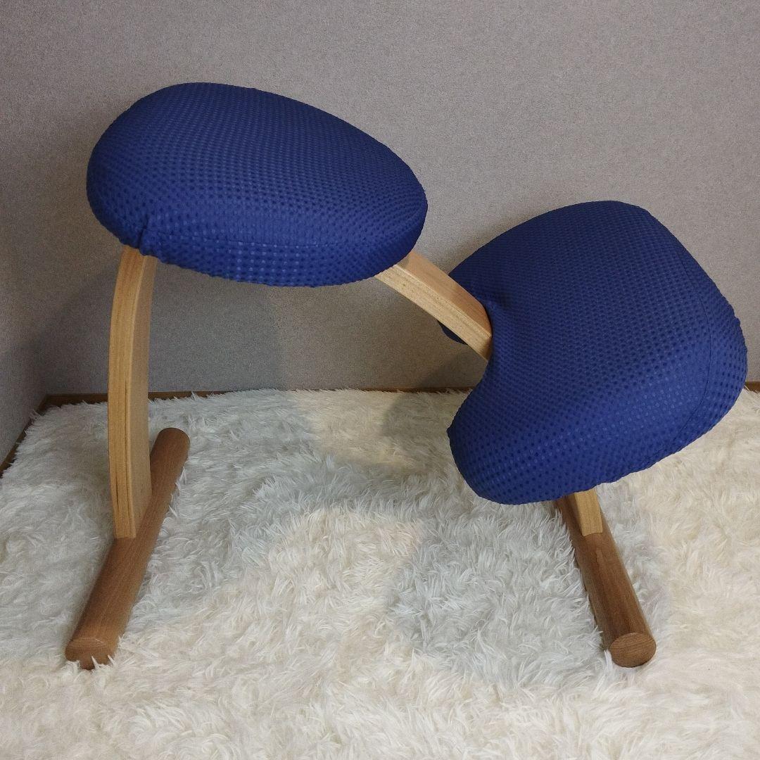 【極美品】balans Easy バランスチェア イージー カバー付