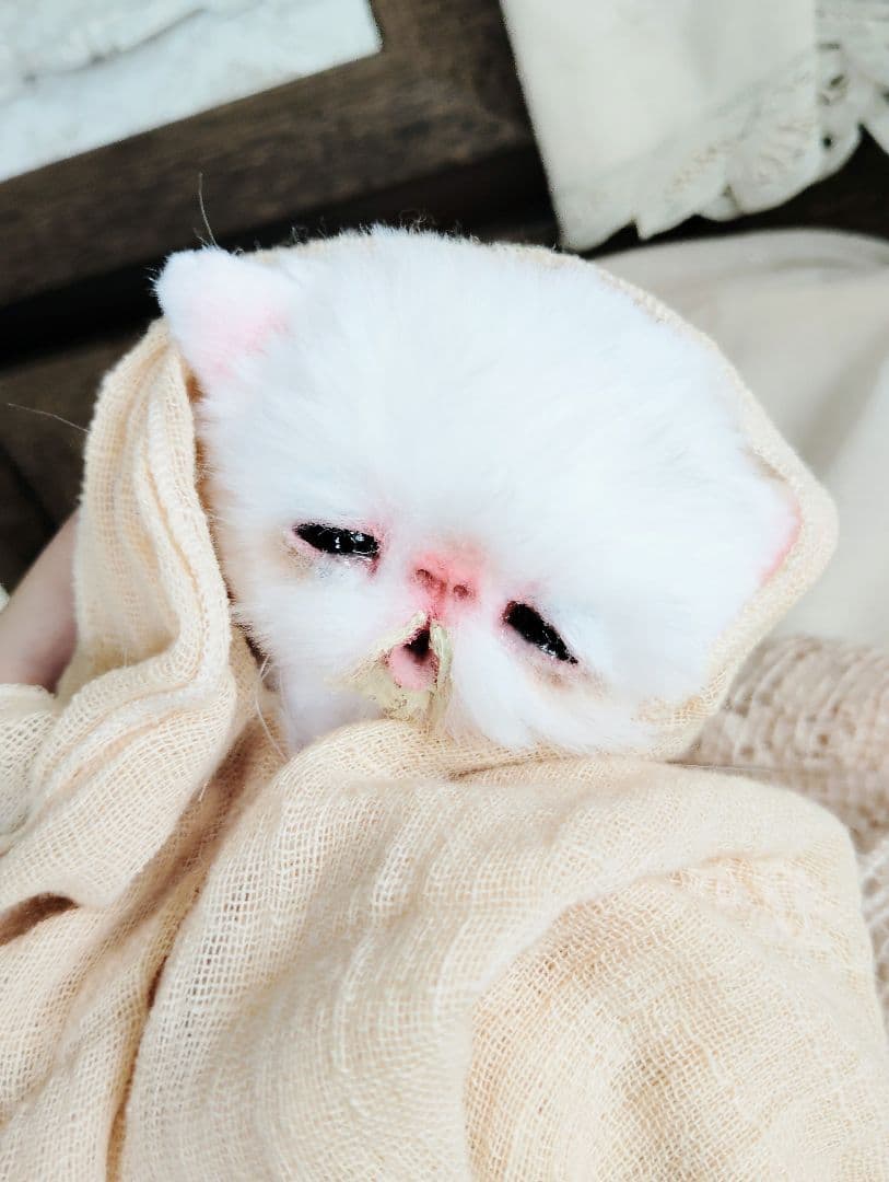 ママ〜ミルクちょうだい♡生後１０日♡赤ちゃん子猫♡アートドール♡ぬいぐるみ♡
