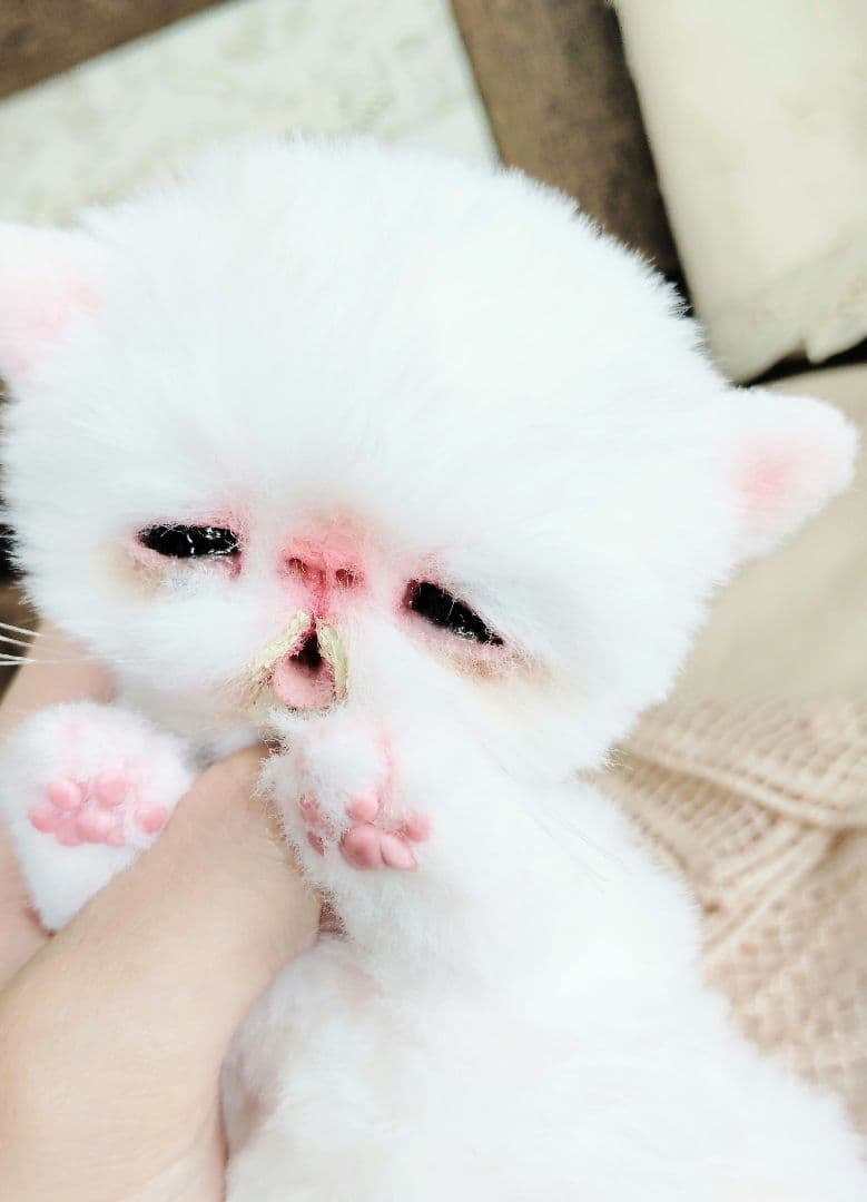 ママ〜ミルクちょうだい♡生後１０日♡赤ちゃん子猫♡アートドール♡ぬいぐるみ♡