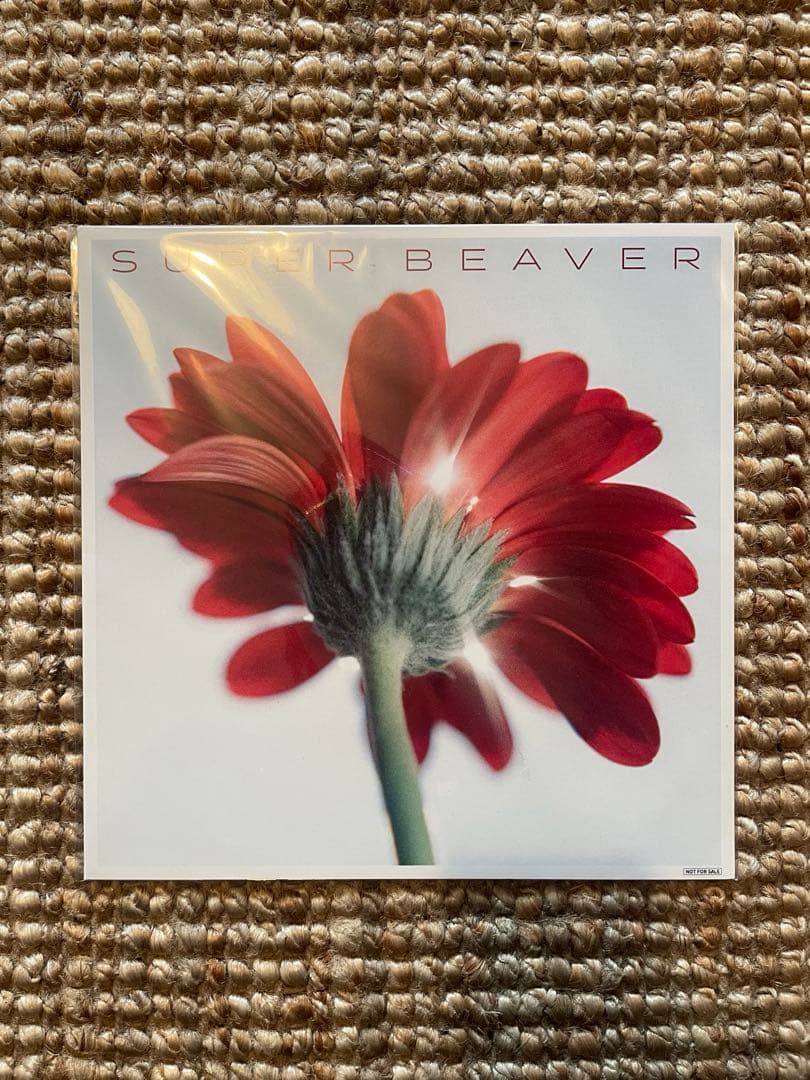 【3点セット】SUPER BEAVER 非売品　メガジャケ