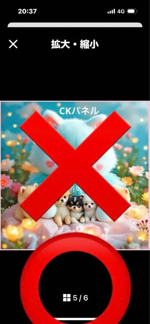 ハンドメイド　ポーチきゃんべる