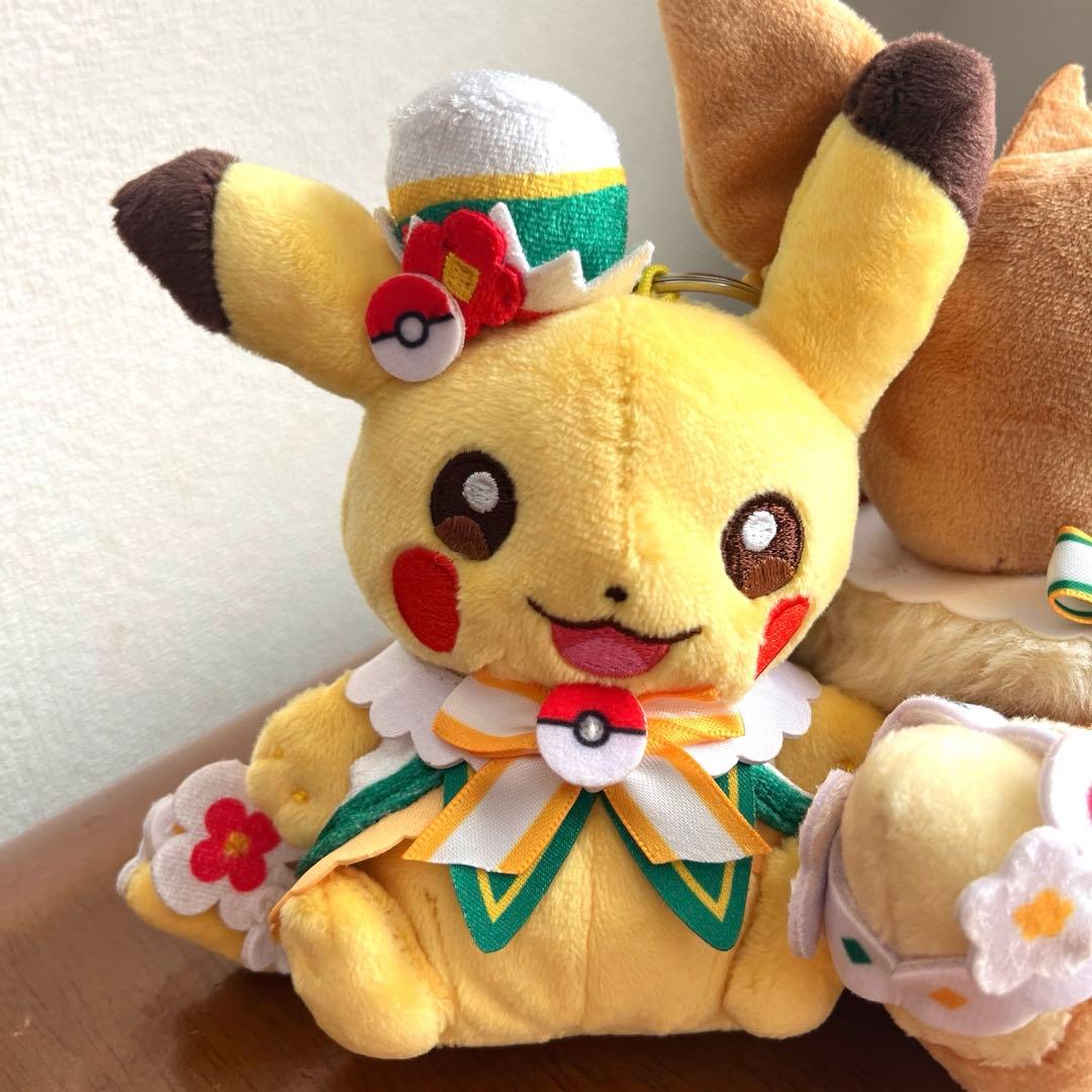 限定　ポケパークカントーPoKePARK KANTO ピカチュウ&イーブイ