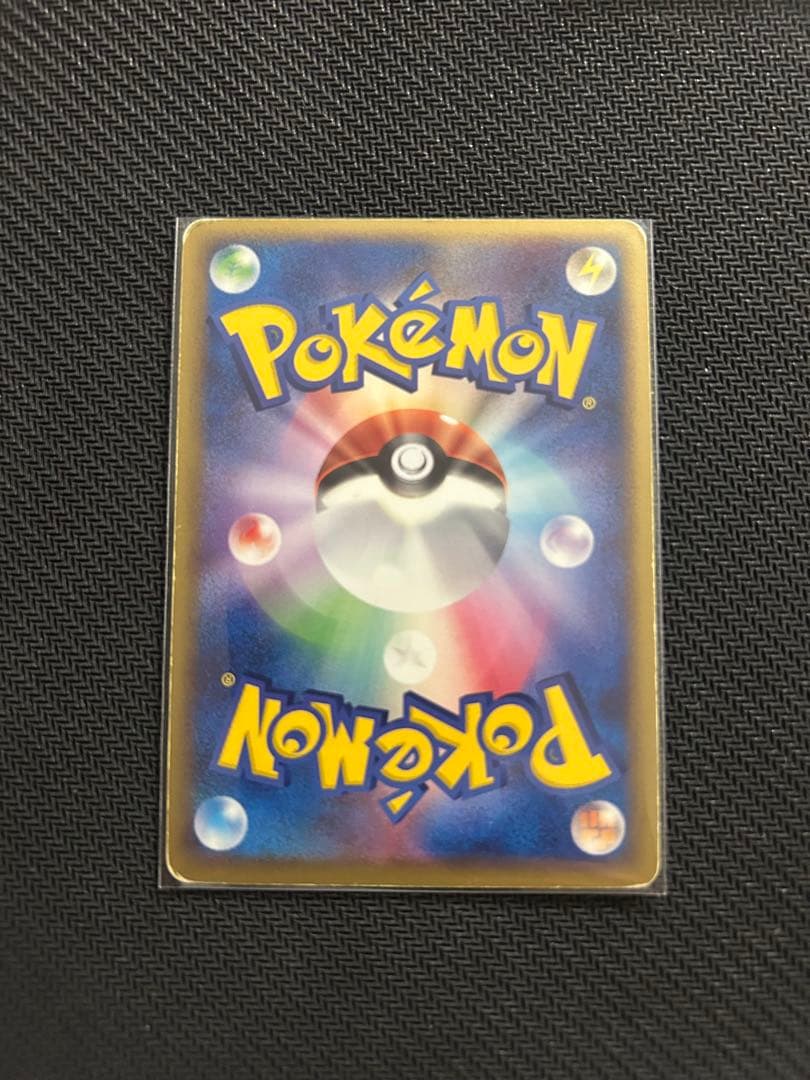 ポケパークのピカチュウ　プレミアムファイル フォレスト