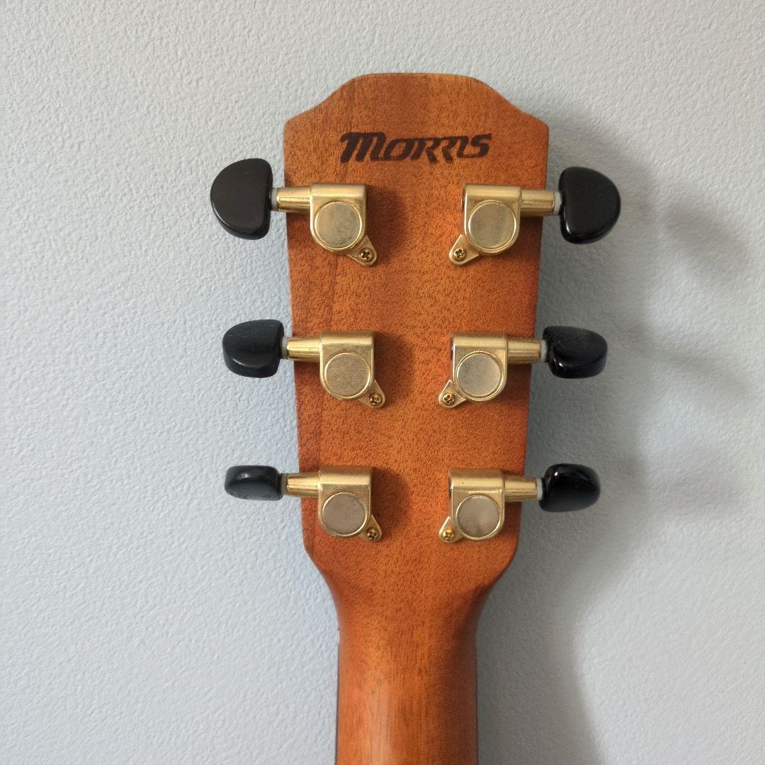 Morris S-30 モーリス アコギ アコースティックギター カッタウェイ