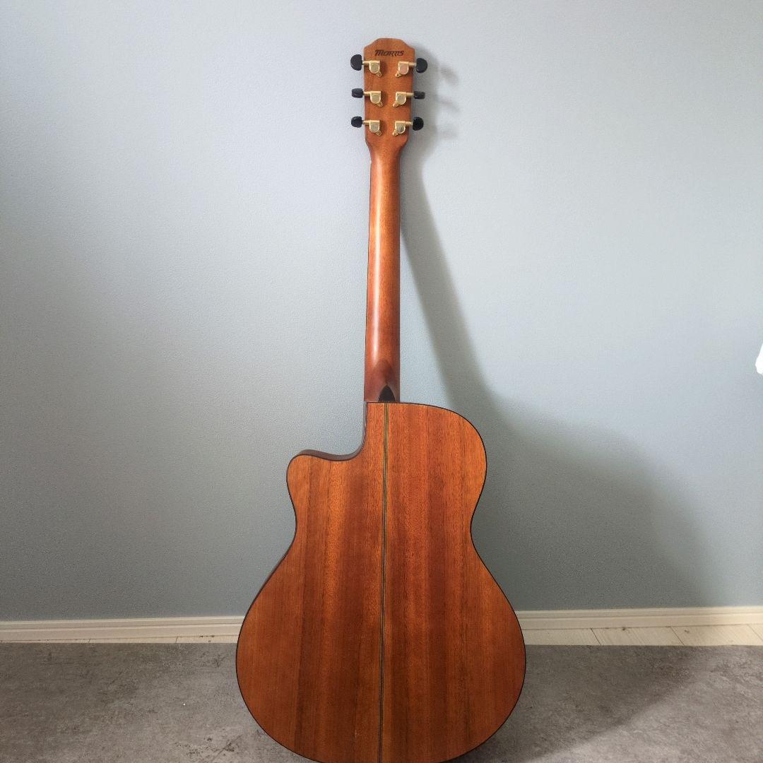Morris S-30 モーリス アコギ アコースティックギター カッタウェイ