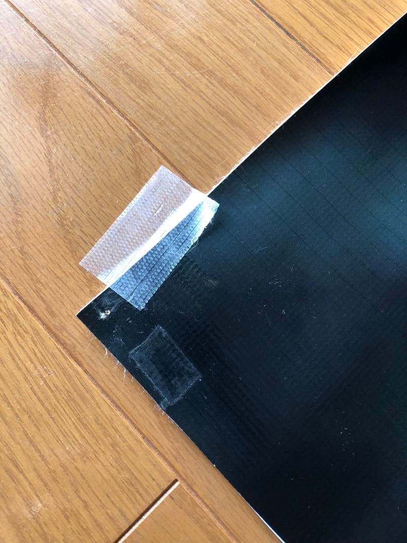 カメレオン　プリントアート