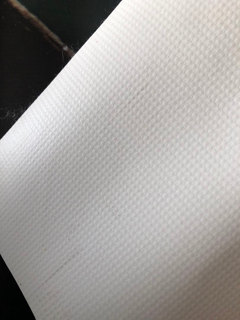 カメレオン　プリントアート