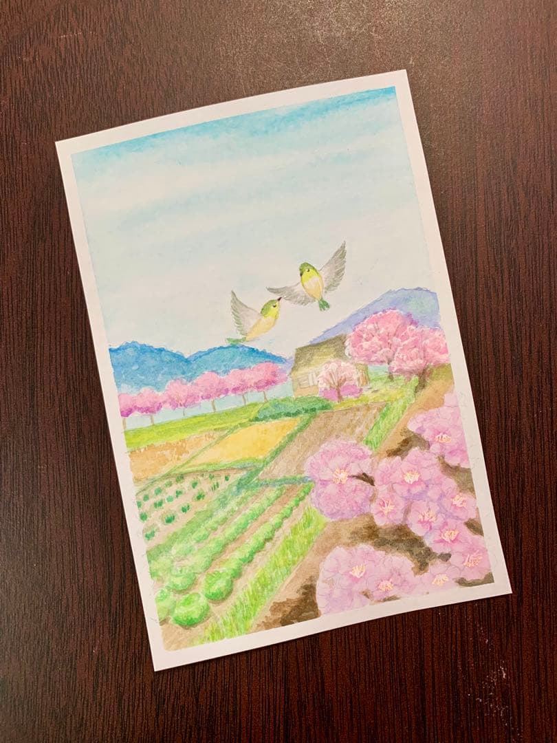 momorin水彩画　里の桜　値段は※900円です