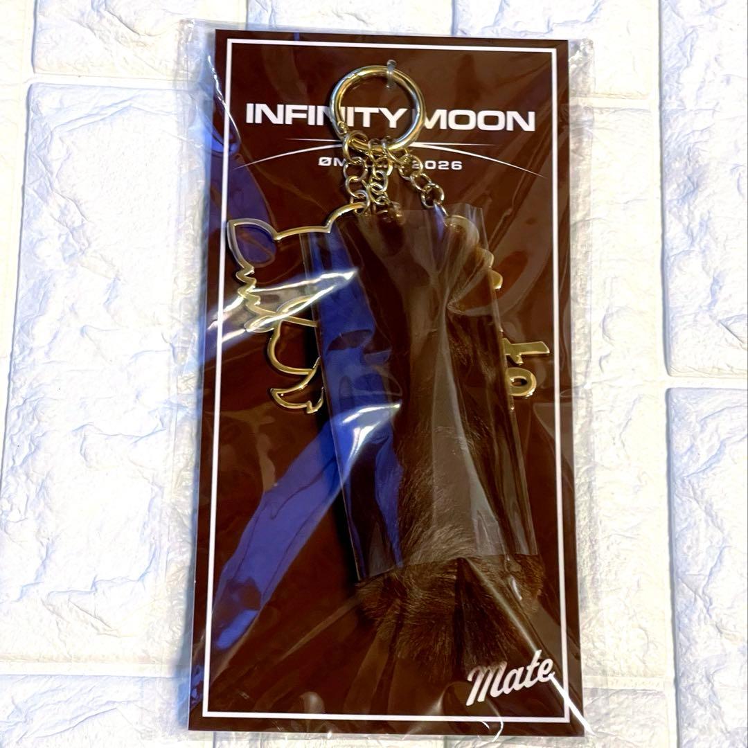 ØMI INFINITYMOON チャーム