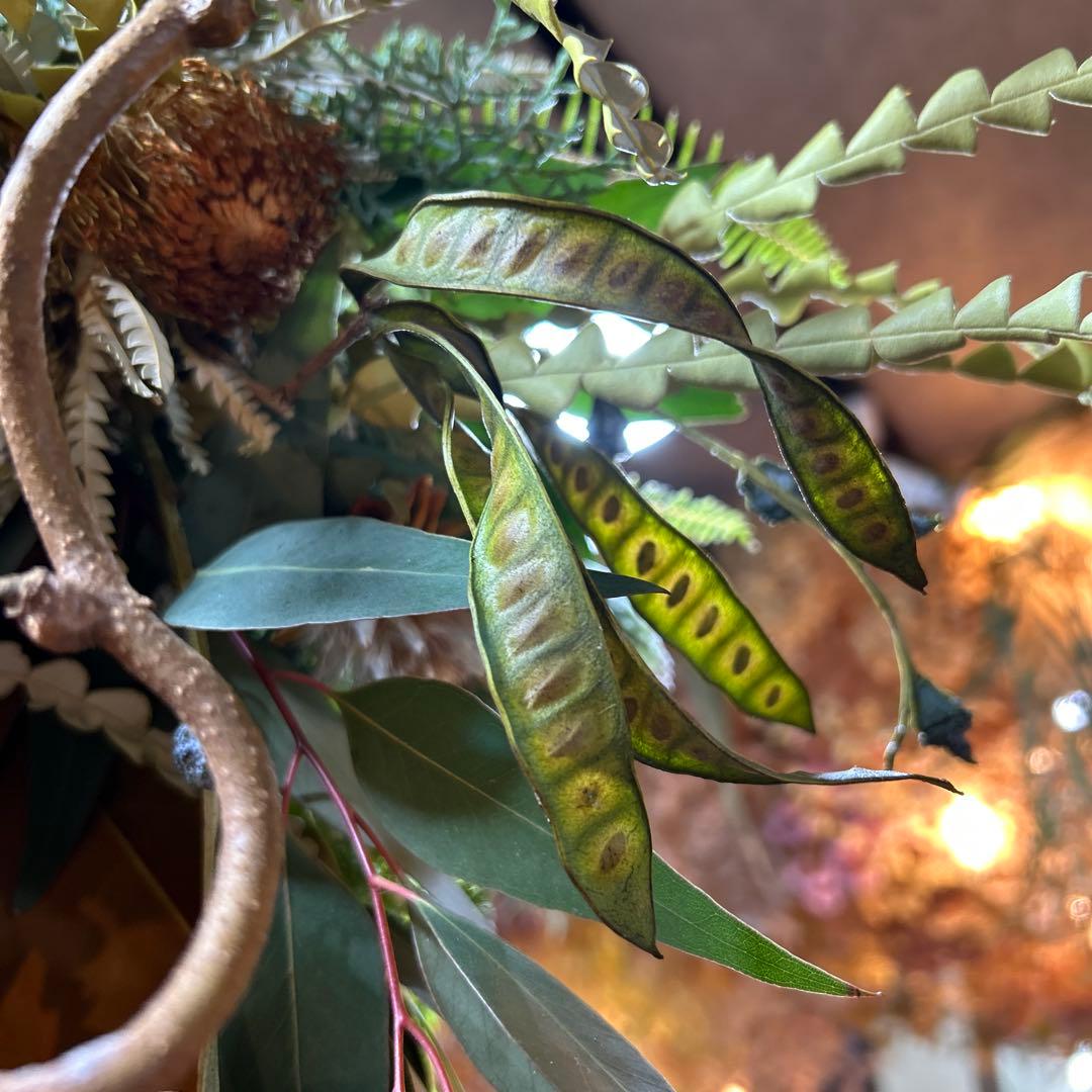 プロテアとバンクシアの吊り下げスワッグ