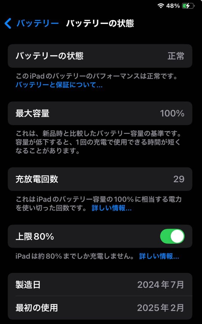 iPad mini第7世代(A17 Pro)128GB Wi-Fi 本体セット