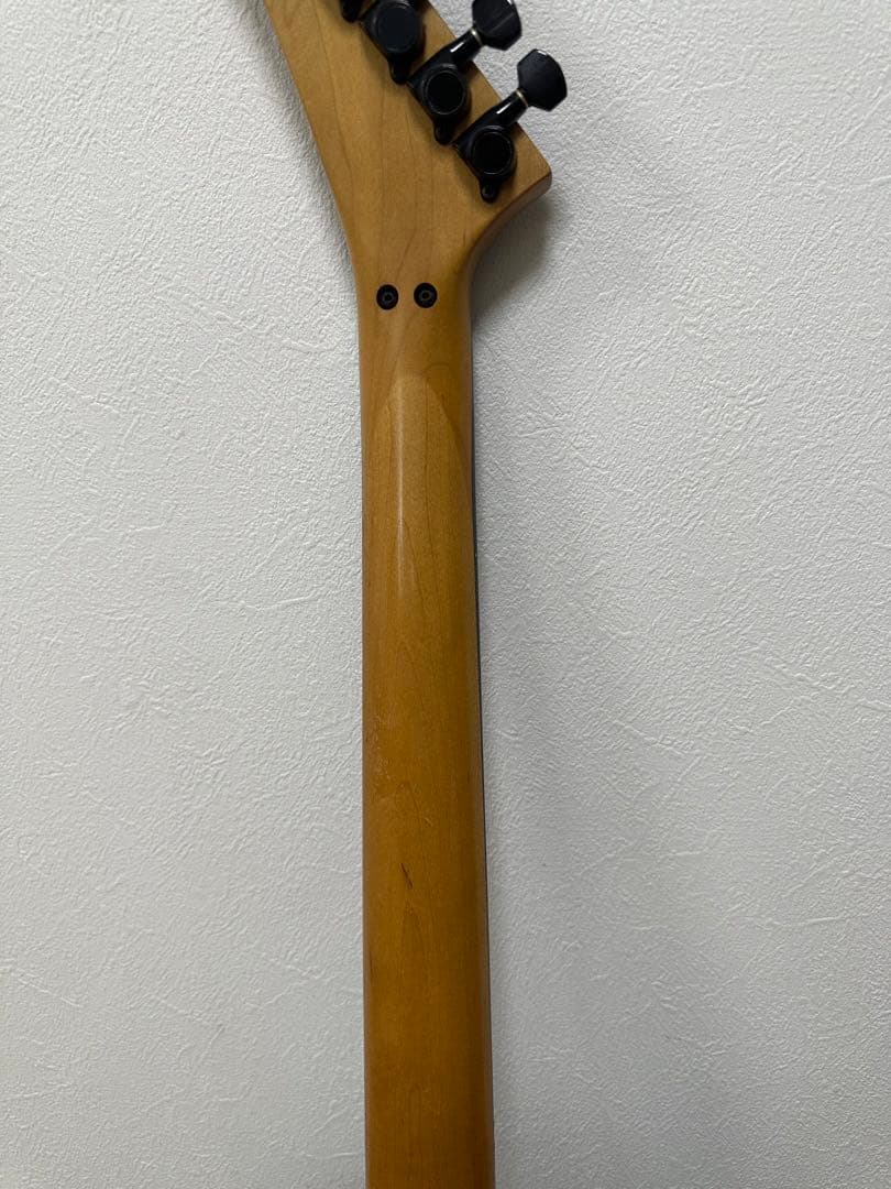 エルキギター