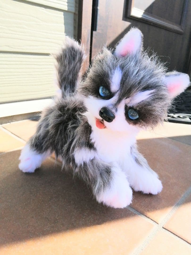 ハスキー子犬♡わんこ♡アートドール♡ぬいぐるみ♡ワンちゃん♡里親様募集～♪