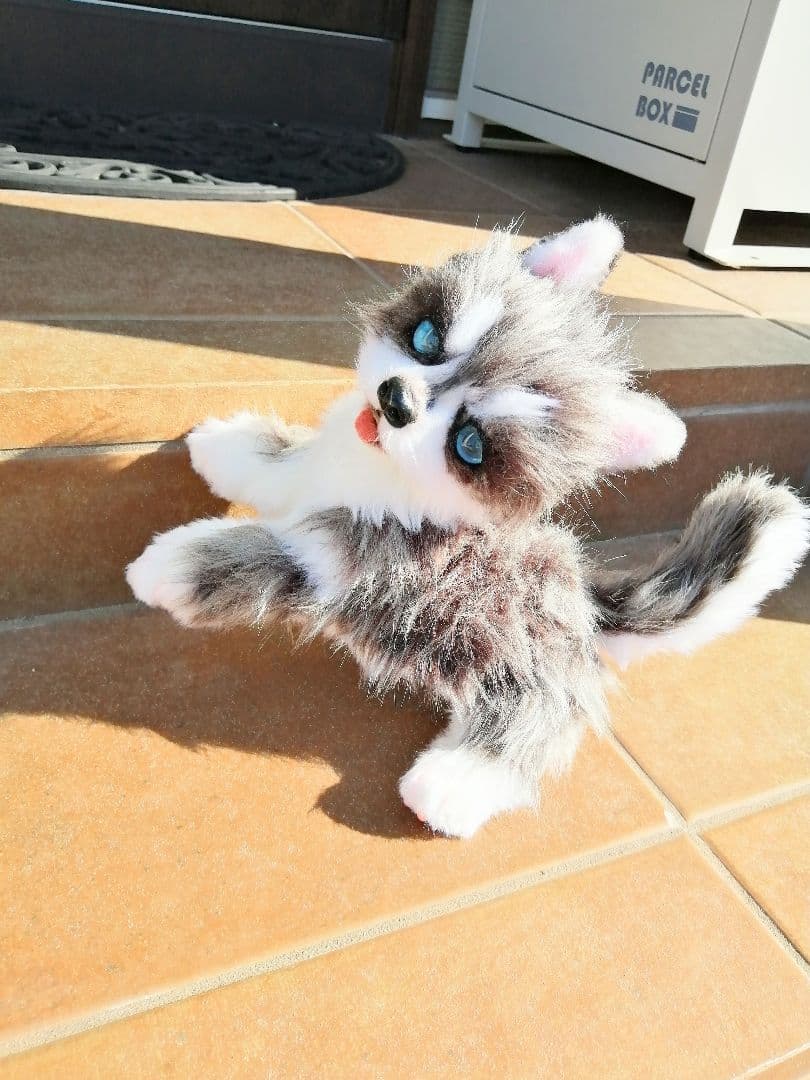 ハスキー子犬♡わんこ♡アートドール♡ぬいぐるみ♡ワンちゃん♡里親様募集～♪