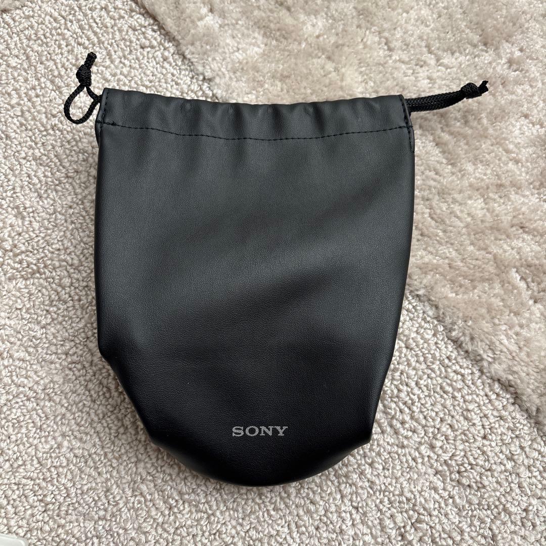 【美品】SONY FE 24-105mm F4 G OSS ＋ フィルター4枚