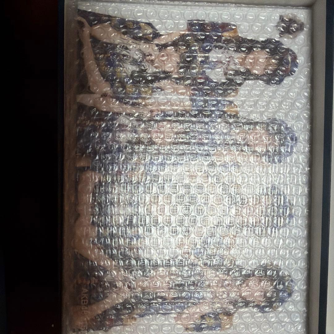 向井地美音　生写真セット