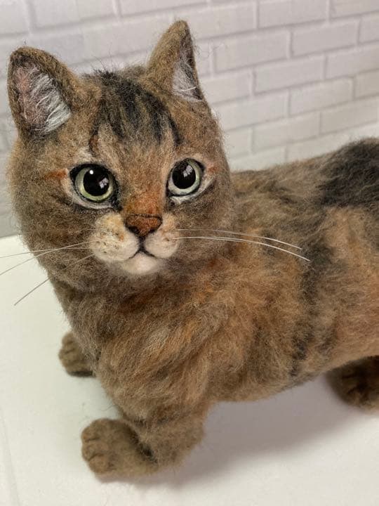 L Lサイズ 植毛あり サンプルページ さび猫 キジトラ
