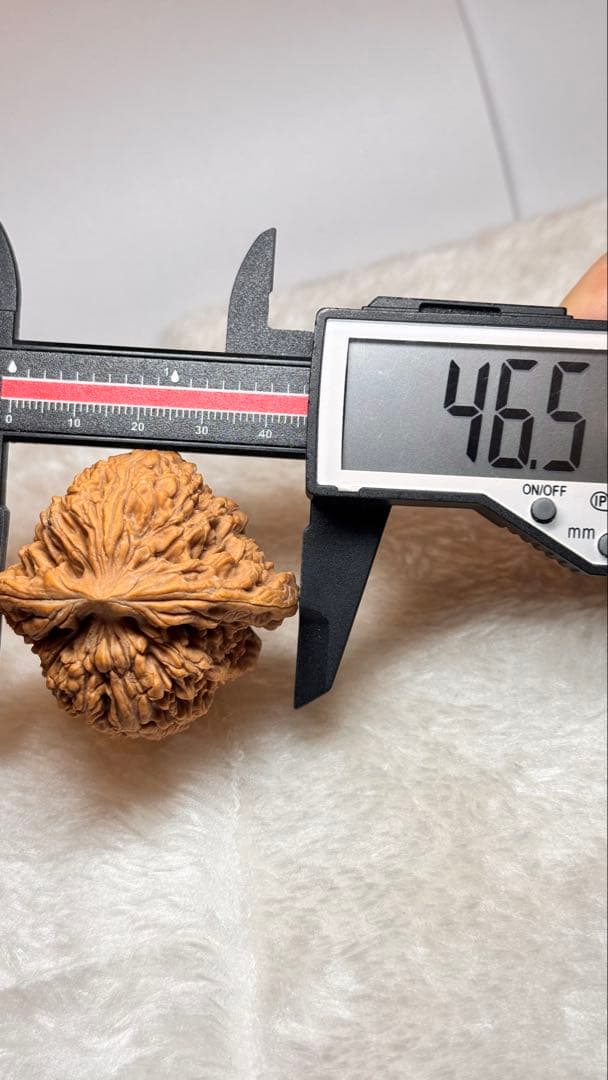 46南疆