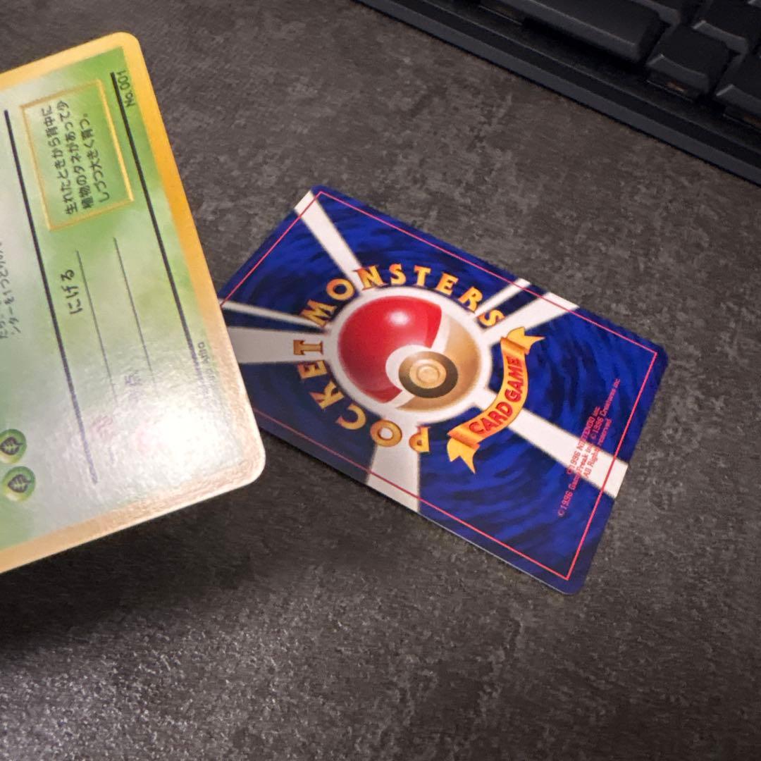 ポケモンカード 旧裏 フシギダネ フシギソウ 初版 マークなし
