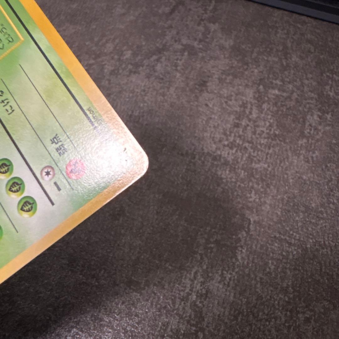ポケモンカード 旧裏 フシギダネ フシギソウ 初版 マークなし