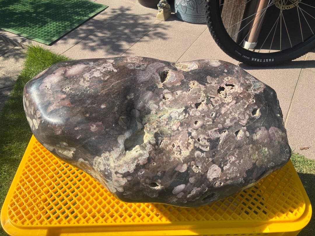 【梅花石】天然模様 大型観賞石 水石 コレクション インテリア