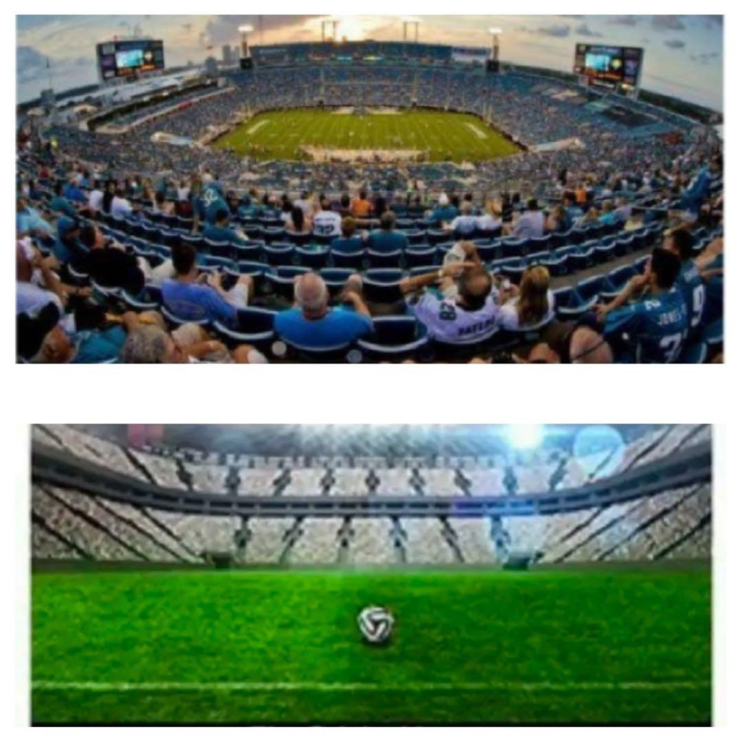 期間限定！Nikon Zに対応！ミラーレス用！カメラ初心者サポート付き望遠レンズ