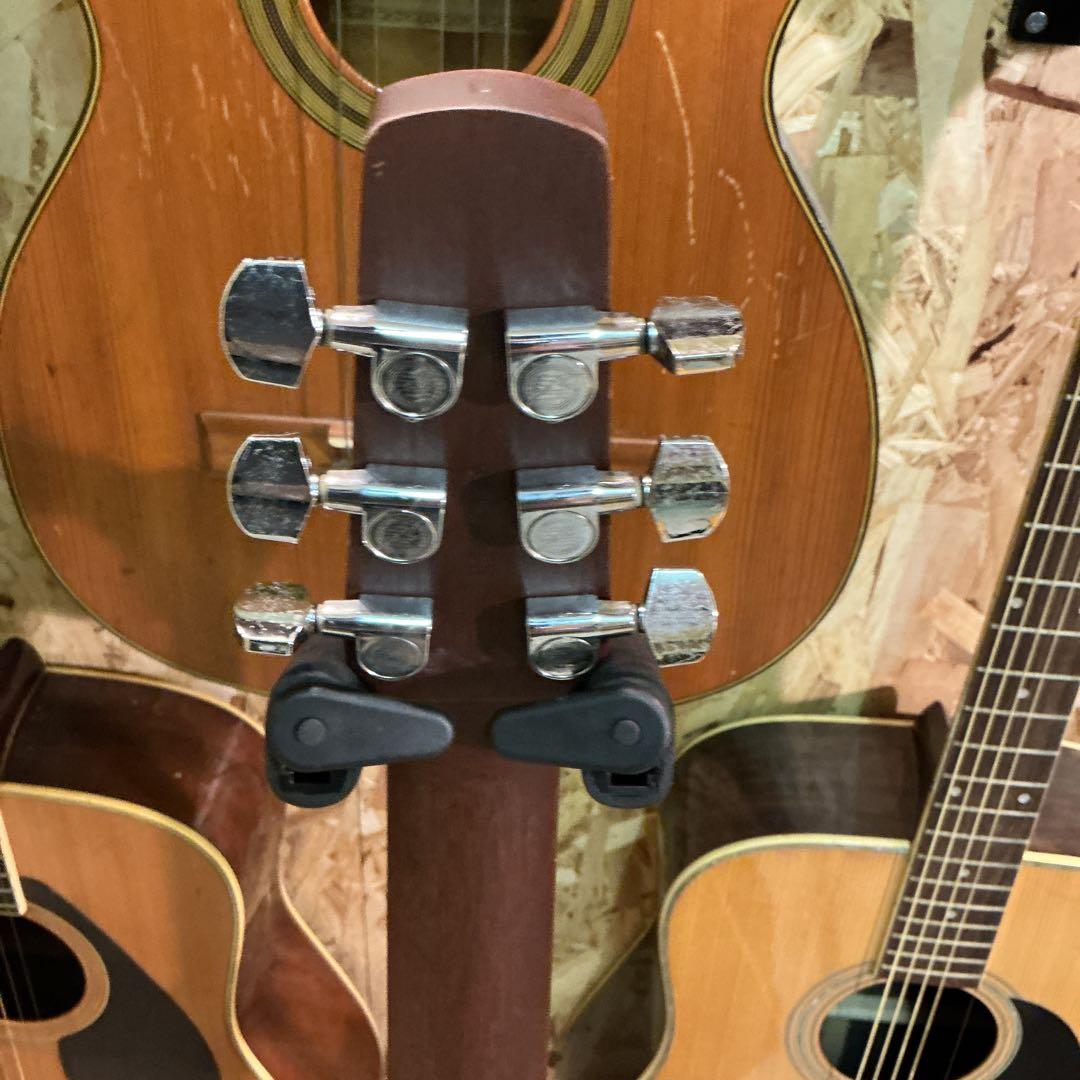 シーガル　アコースティックギター