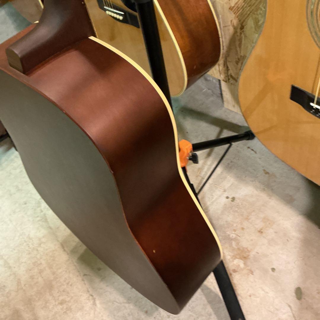 シーガル　アコースティックギター