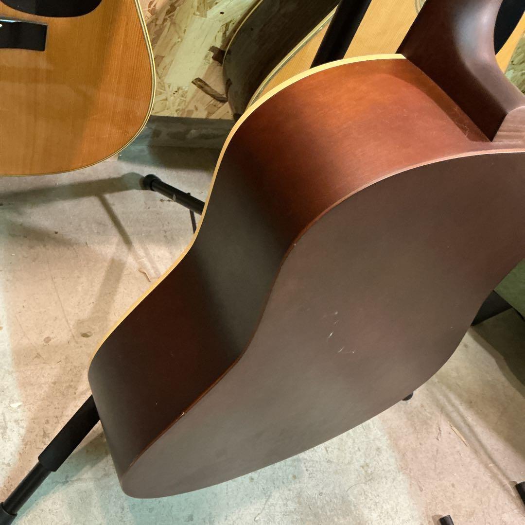 シーガル　アコースティックギター