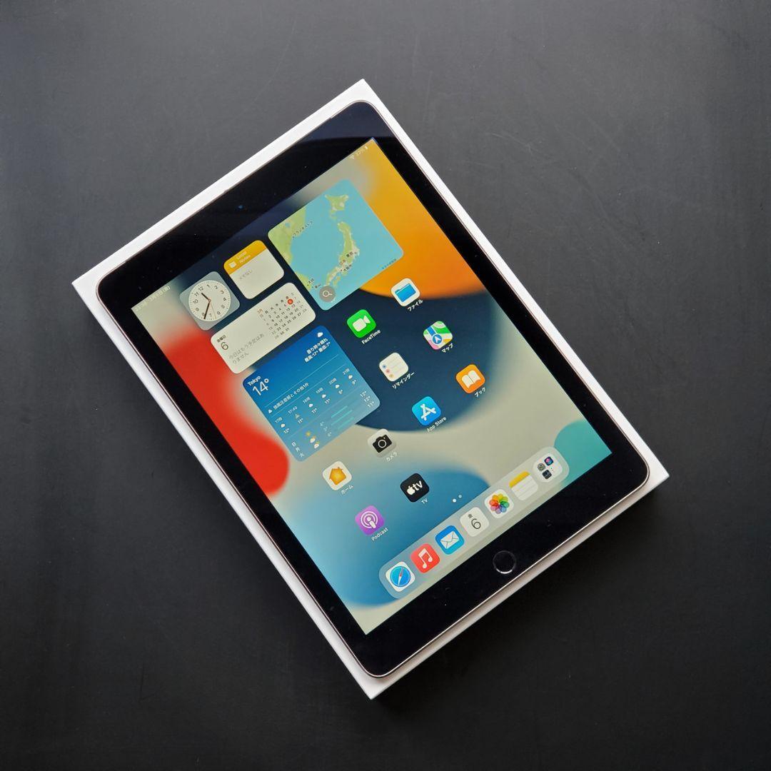 【極美品】iPad Air 2 Wi-Fi + Cellular 64GB
