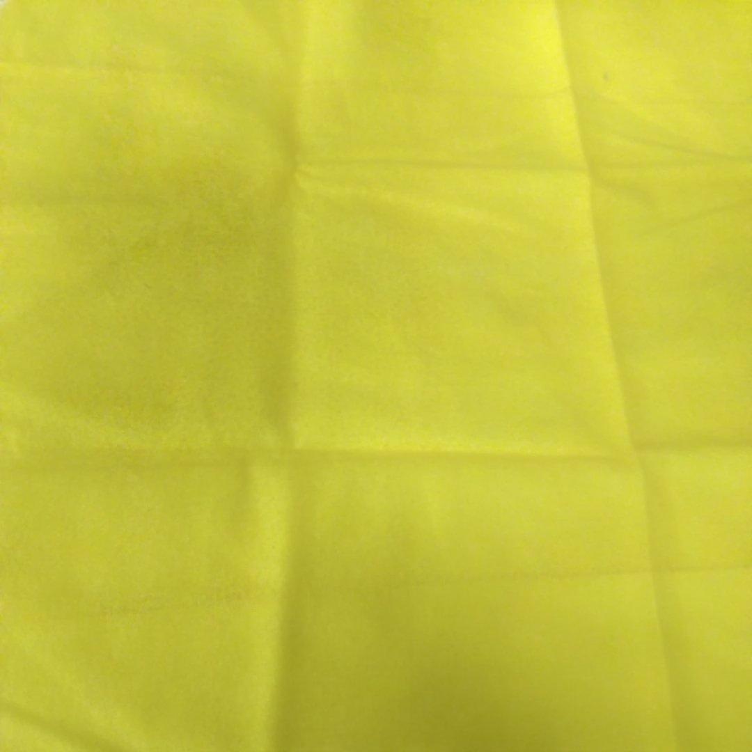 ☆期間限定特価！【三味線本体/和楽器/弦楽器/ハードケース付き/付属品あり】