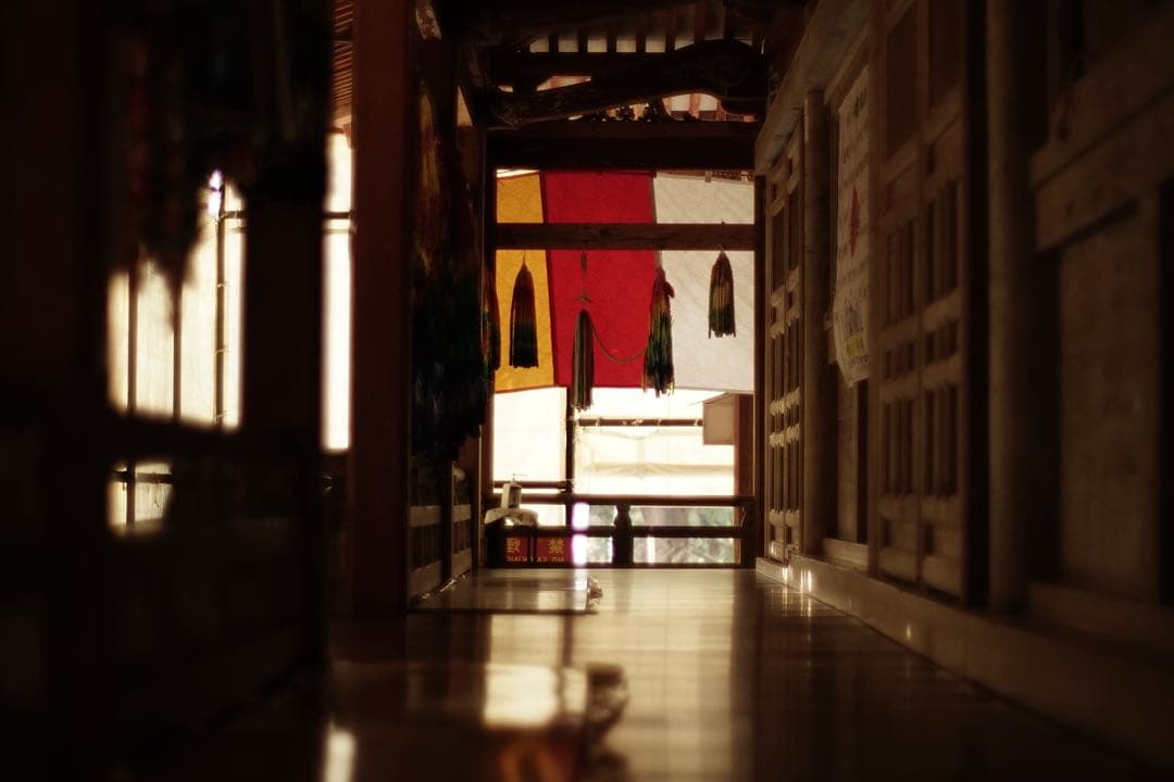 作例付き　Nikon Ai 50mm F1.2 管mpr