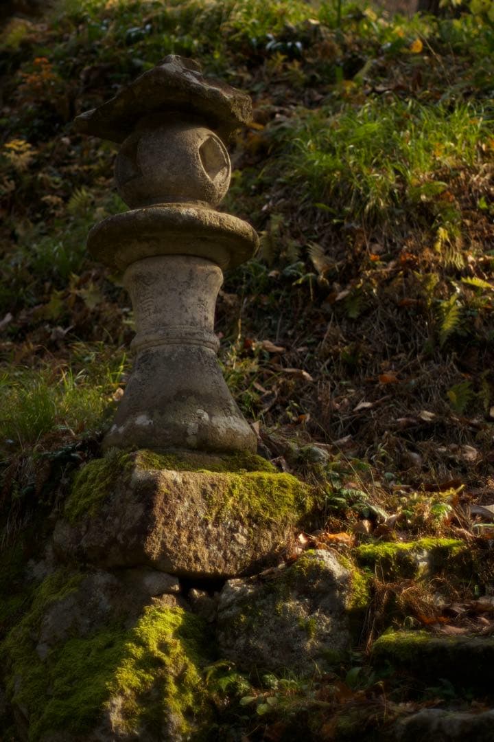 作例付き　Nikon Ai 50mm F1.2 管mpr