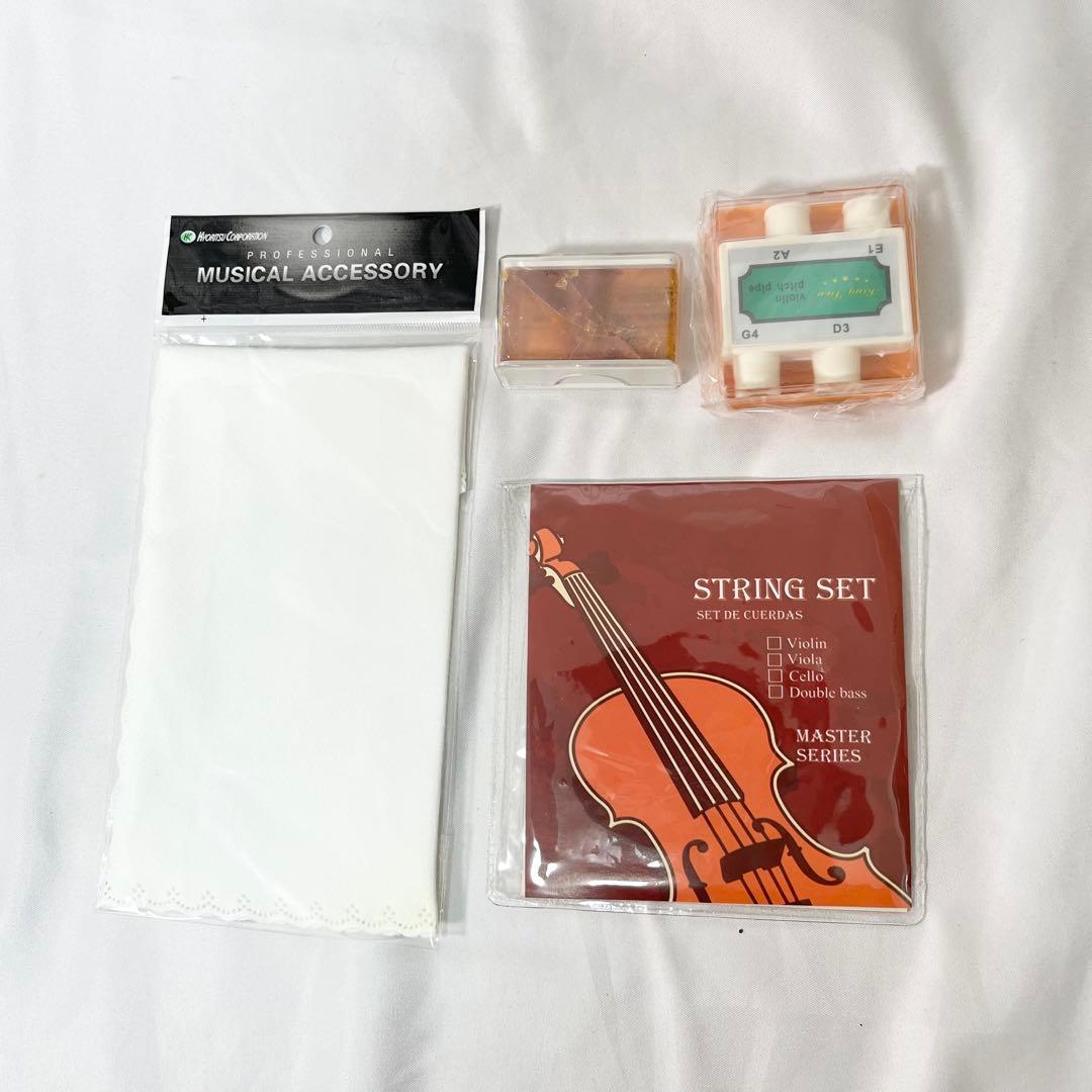 Hallstatt V-12 4/4 バイオリン ケース付　ヴァイオリン