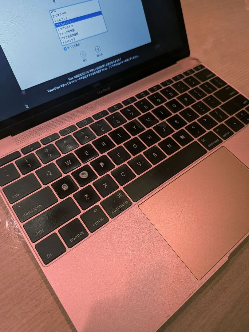 【エマニエル坊やさま専用】Apple MacBook 12インチ