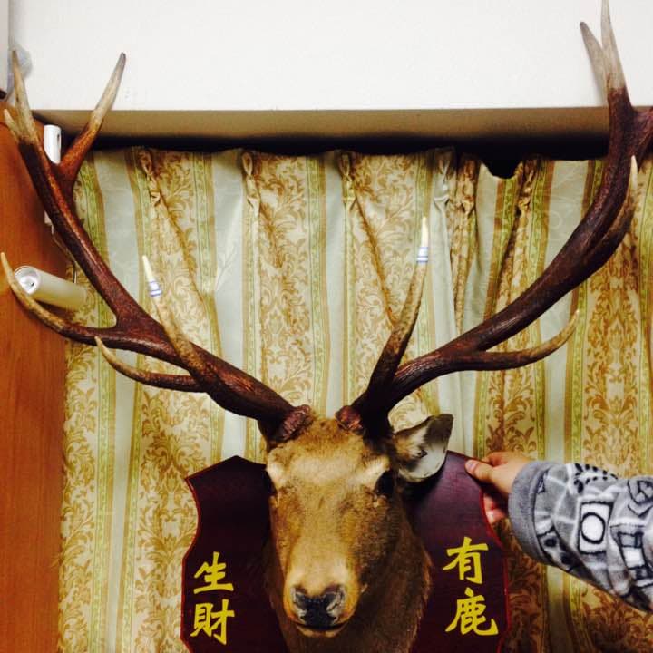 鹿の角（店部さまの縁起物）