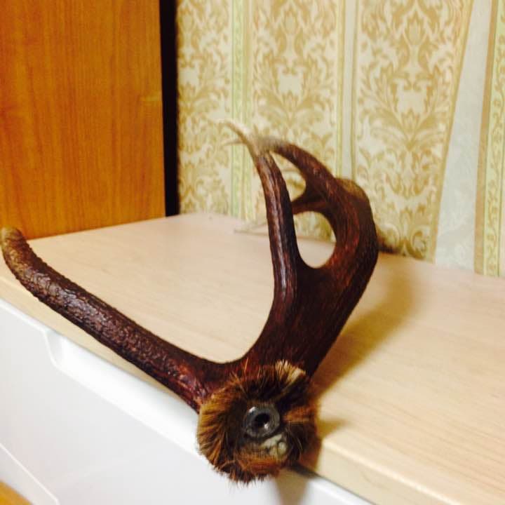 鹿の角（店部さまの縁起物）