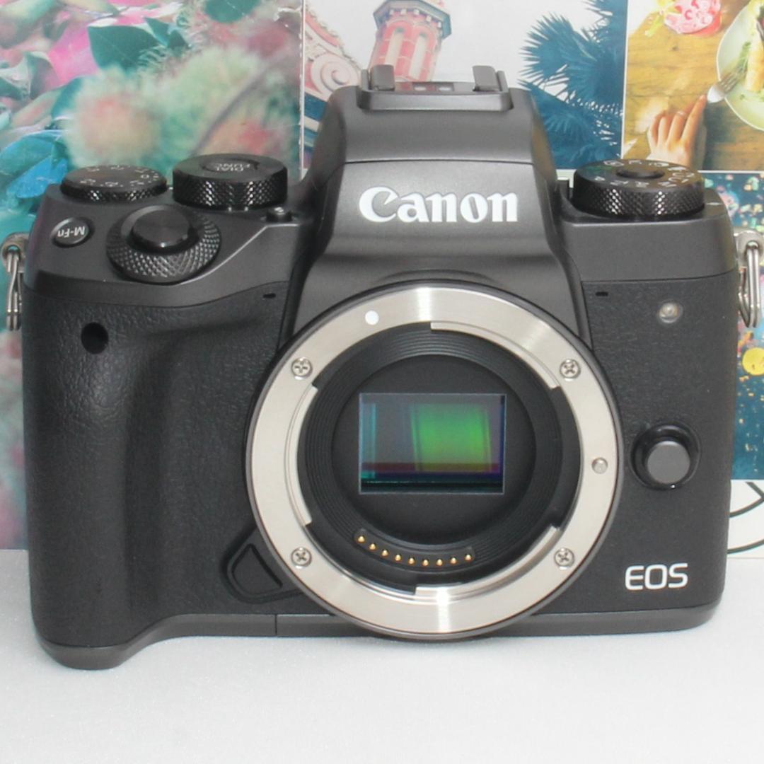 ❤️予備バッテリー付き❤️キヤノン EOS M5 超望遠トリプルズーム❤️