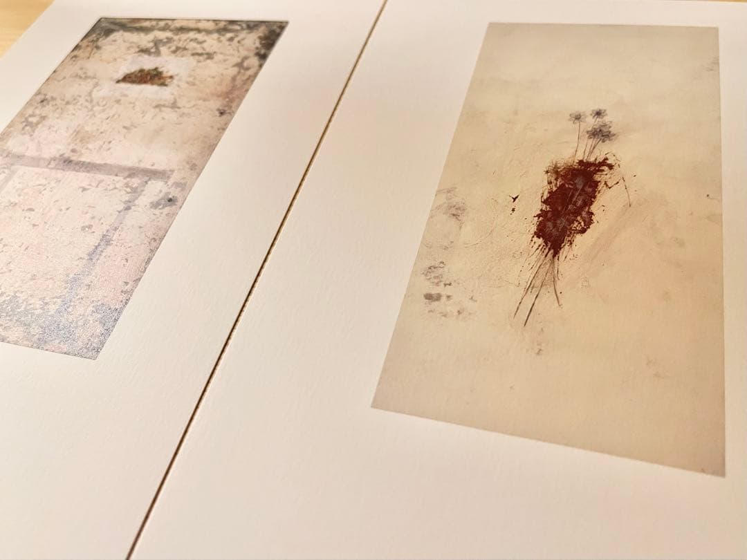 コレクション VINCENT GALLO RETROSPECTIVE 1977-2002