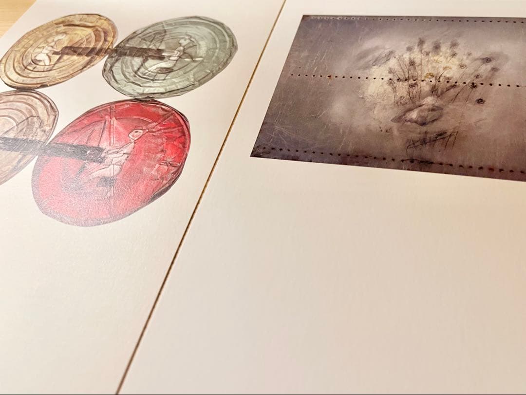 コレクション VINCENT GALLO RETROSPECTIVE 1977-2002