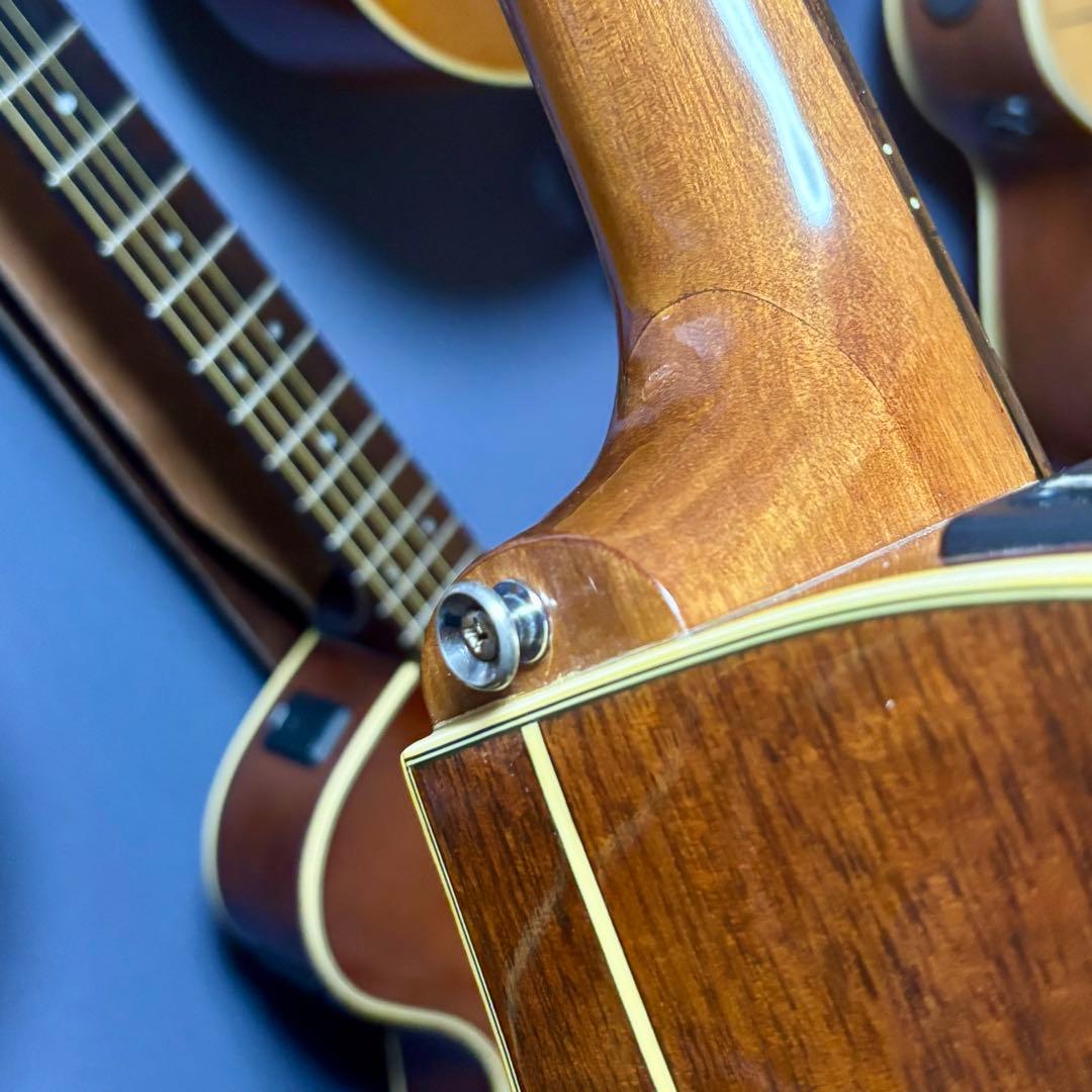 【超美品低弦高】エレアコ　cooder by takamine 本革ストラップ付