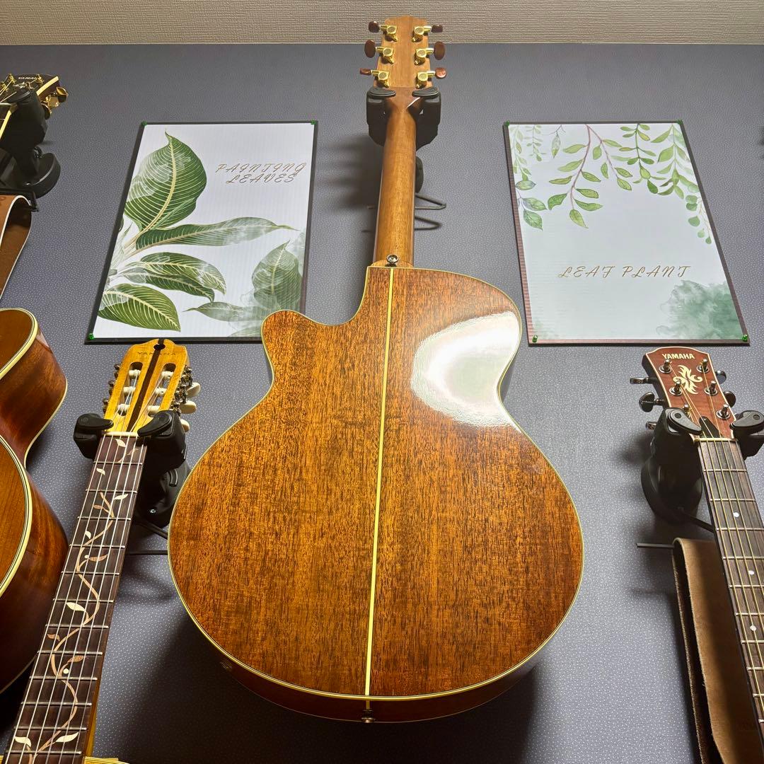 【超美品低弦高】エレアコ　cooder by takamine 本革ストラップ付