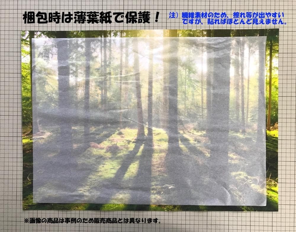 【パノラマS版／扉なし窓仕様】-窓の景色- 森林と小道 森林浴 壁紙ポスター