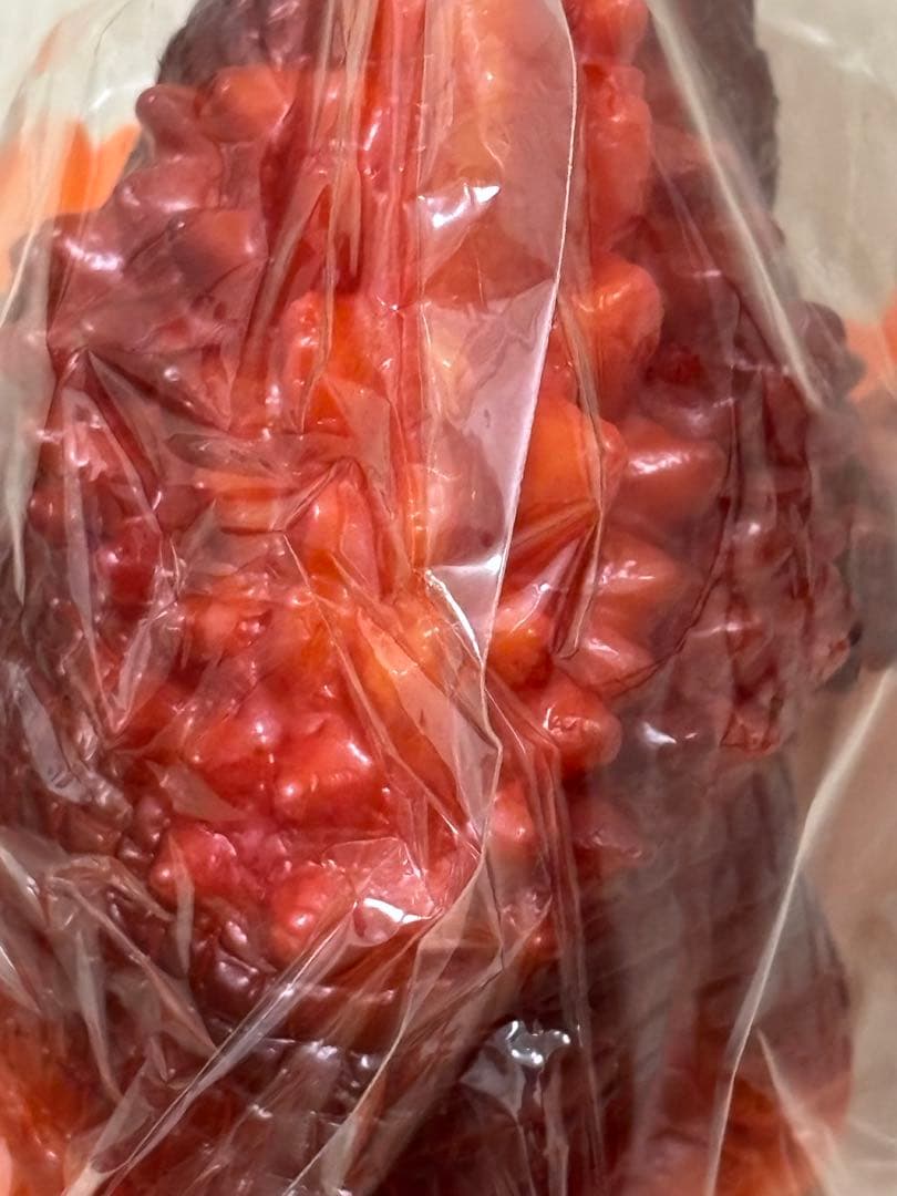 ヤモマーク 大怪獣シリーズ ザンボラー 未開封