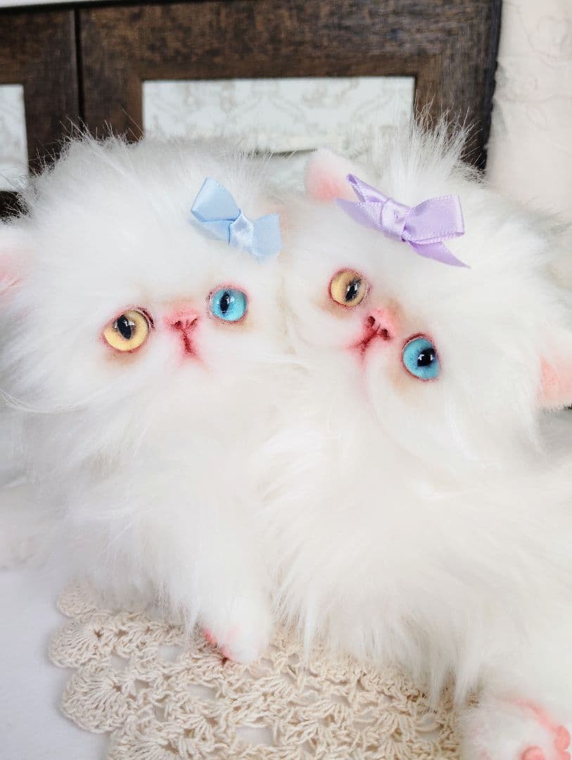 オッドアイ♡エキゾチック双子の子猫ちゃん♡アートドール♡ぬいぐるみ♡